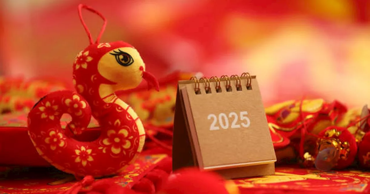 Chinese Zodiac Signs Most Likely To Become Billionaires