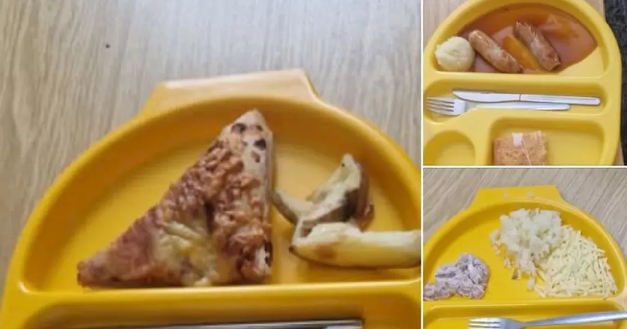 Mother Outraged By 'Tiny' School Lunch Portions Served to Pupils