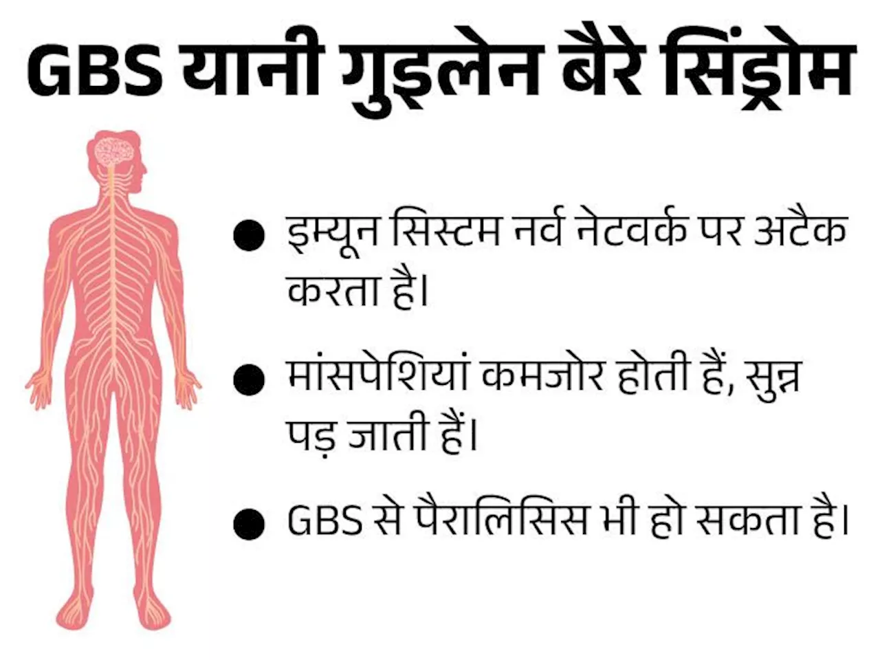 असम में 17 साल की लड़की की जान गई; पश्चिम बंगाल में GBS से 3 मौत का दावादेश के 5 राज्यों में गुइलेन-बैरे सिंड्रोम (GBS) के मरीज सामने आ चुके हैं।