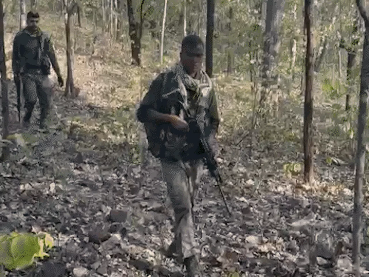 छत्तीसगढ़ में मुठभेड़ में 8 नक्सली मारे गए: बीजापुर में ऑपरेशन जारी, बड़े नक्सलियों को घेरने की खबर; 1 महीने ...