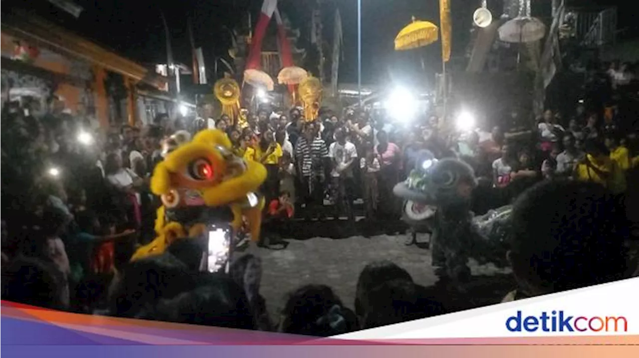 Indahnya Toleransi di Bali, Etnis Tionghoa Gelar Barongsai di Pura