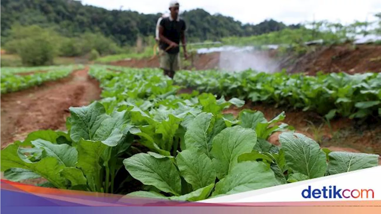 Program Brigade Pangan Libatkan Milenial Atasi Penurunan Petani