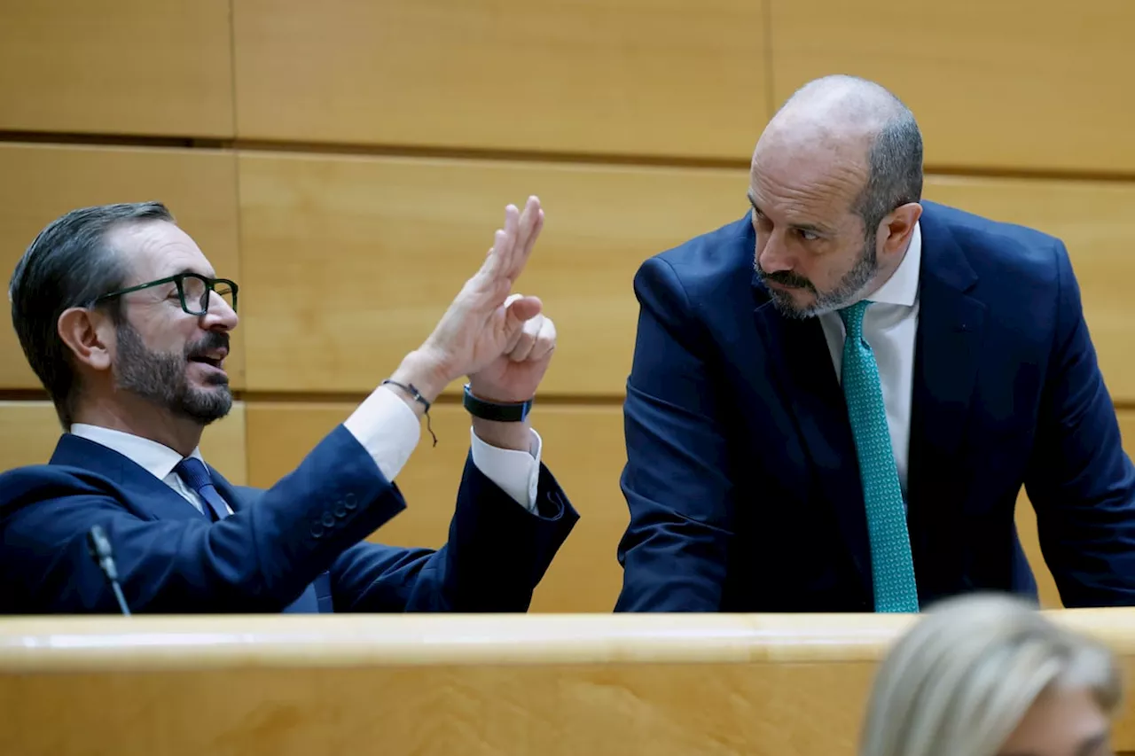 El Senado en llamas: El PP controla la agenda parlamentaria y genera un ritmo frenético de leyes