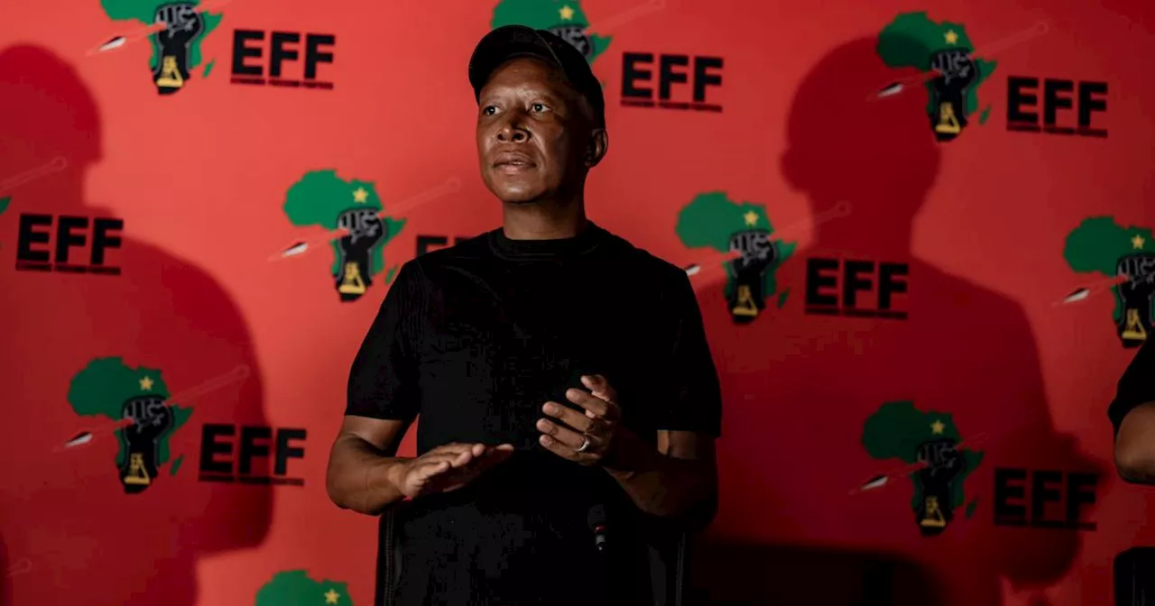 SA not the police of Africa, should stop meddling in regional conflicts, says EFF