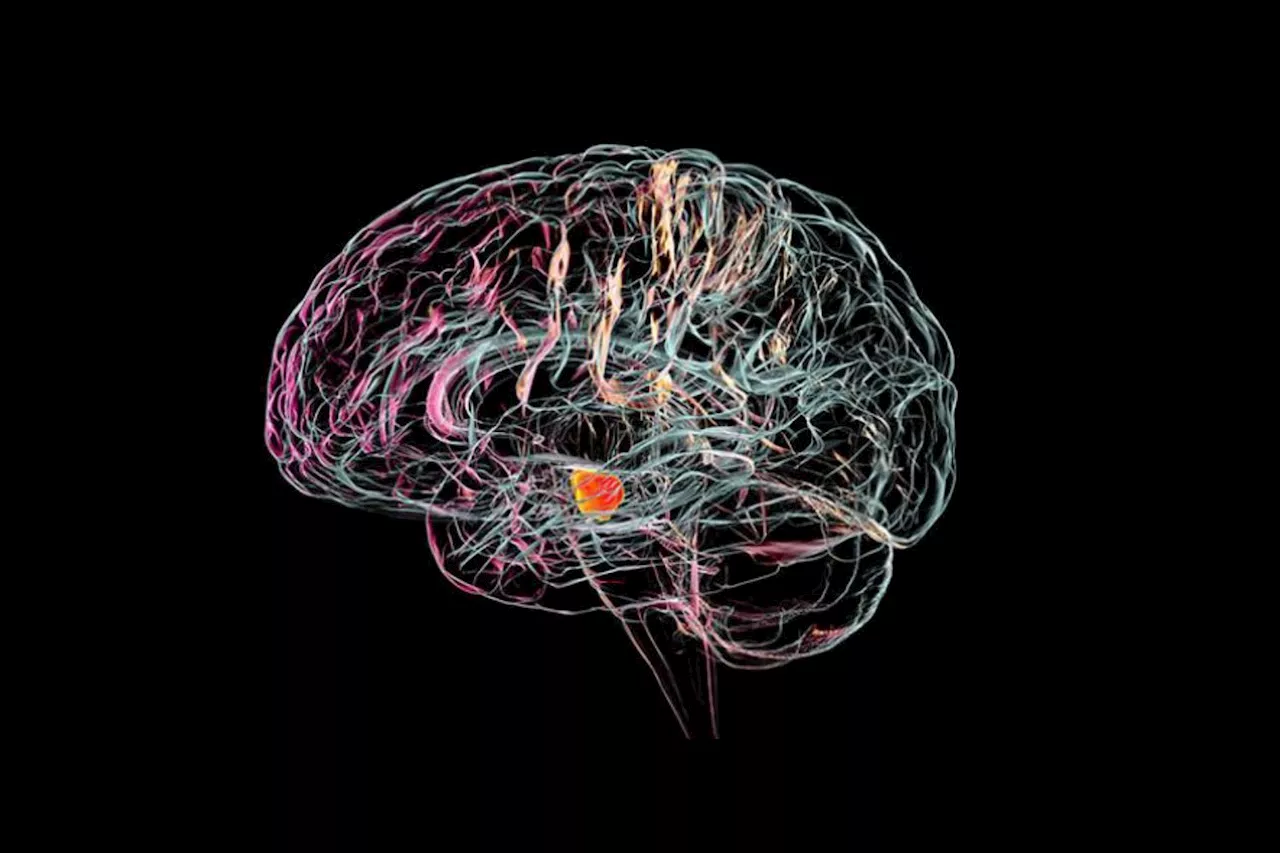 Brain Implant from Organoids to Treat Parkinson's Disease