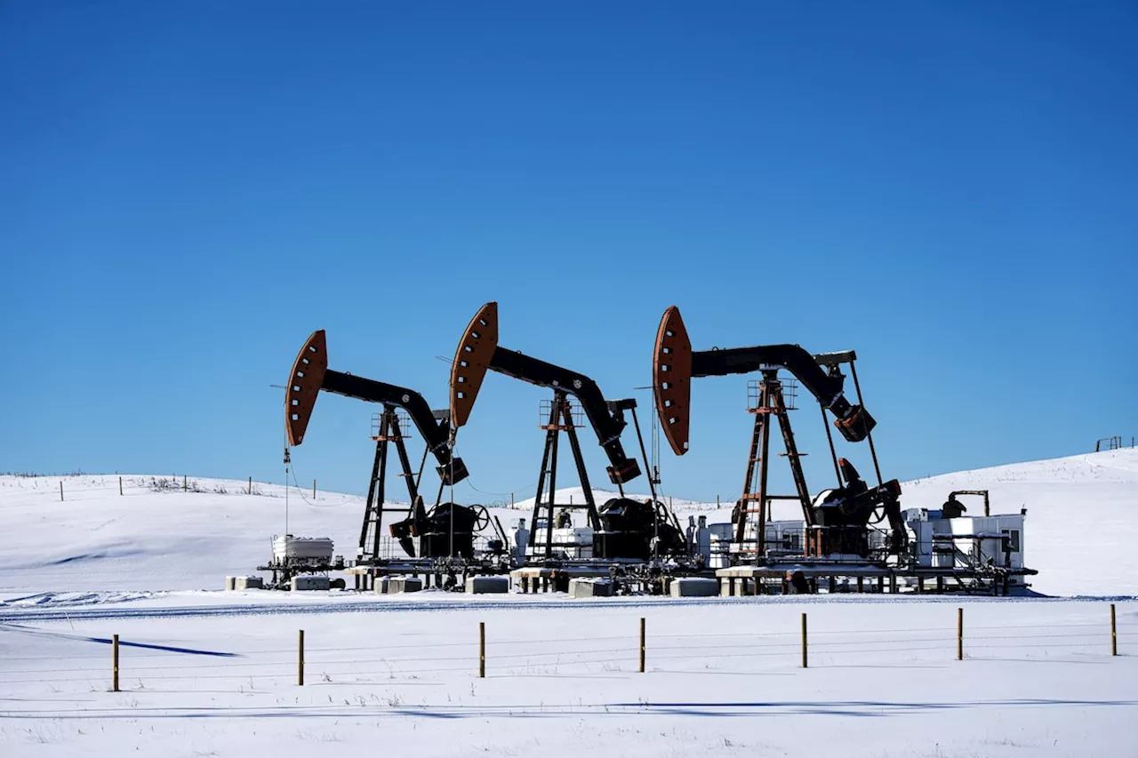 Canadian Oil Stocks Slump, Insider Buying Rises