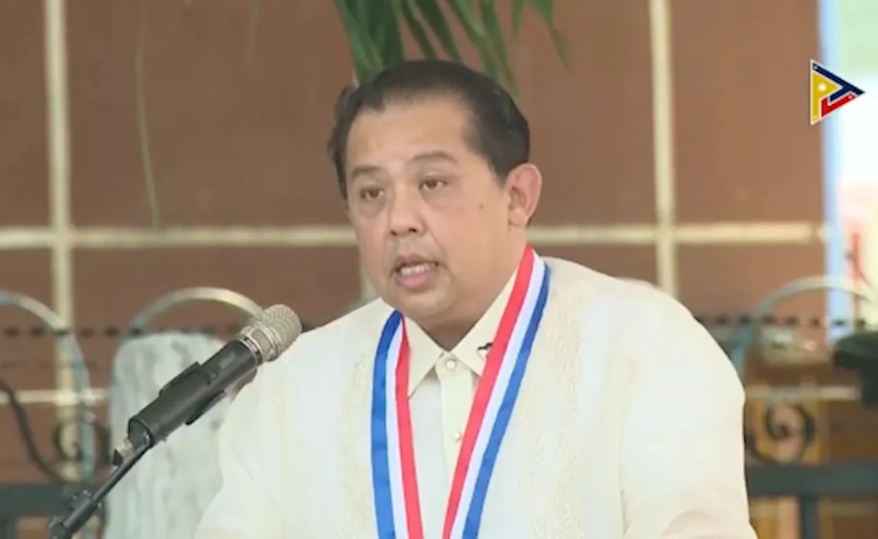 Philippine Democracy Facing Test From 'Misuse and Manipulation' of Law, Says Speaker Romualdez