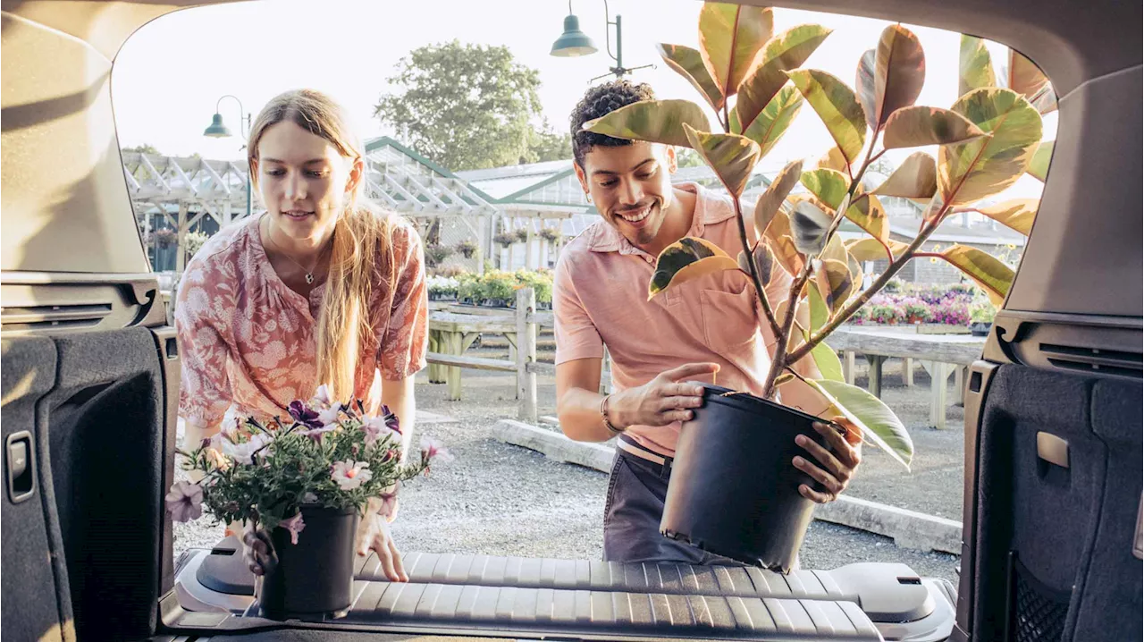 Wie viel investieren die Deutschen in ihren Garten?