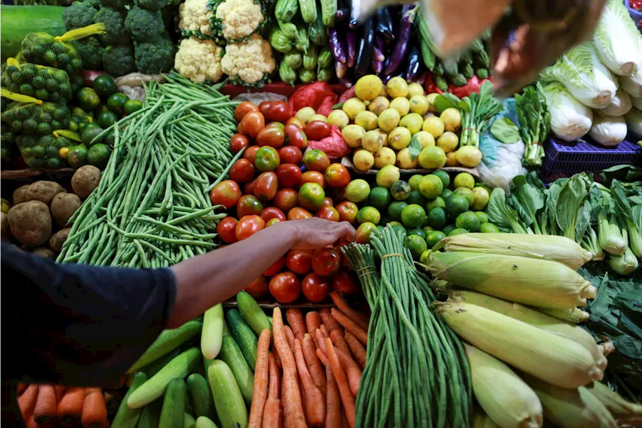 Penurunan Kandungan Nutrisi dalam Sayur dan Buah: Ancaman bagi Kualitas Gizi Masyarakat