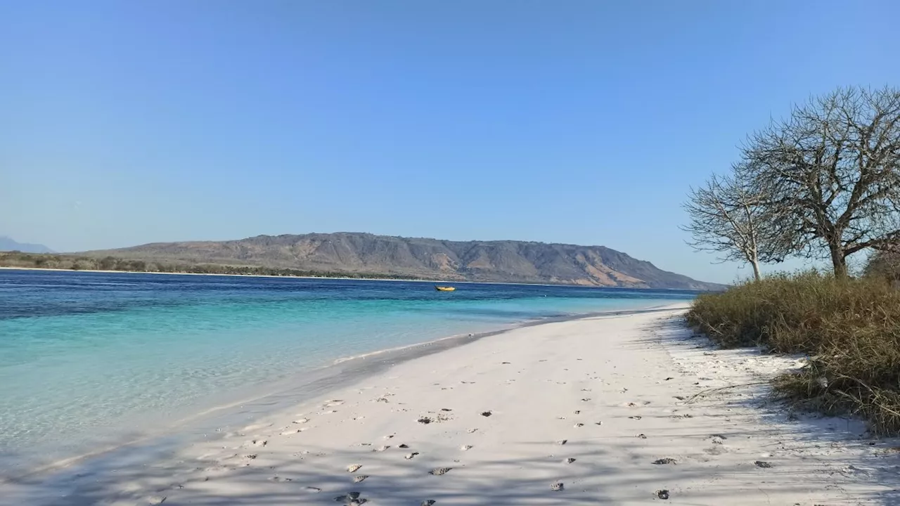 Sprachschatz gehoben: Forscher entdecken unbekannte Papua-Sprache