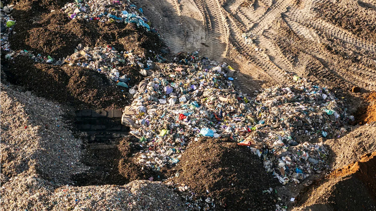  Deponie-Betreiber wehrt sich gegen Greenpeace-Vorwürfe