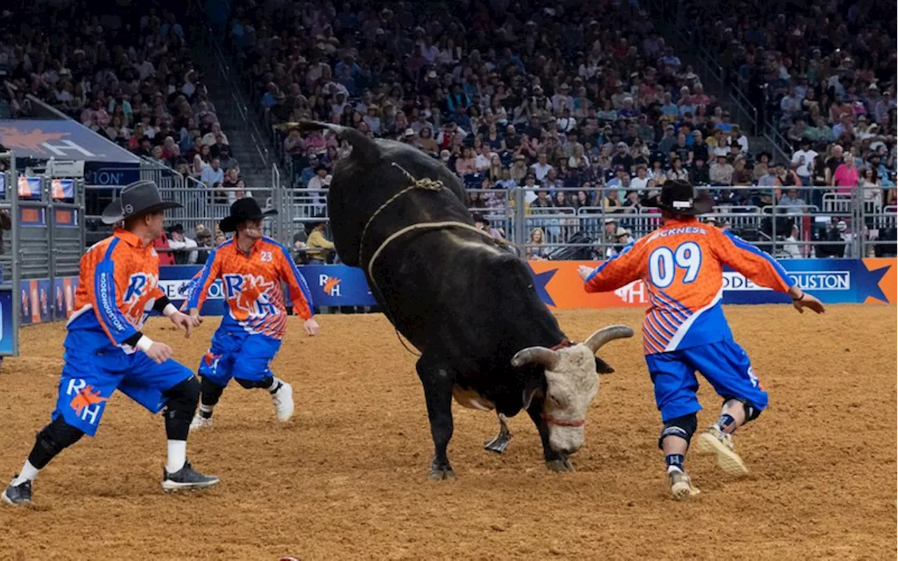 Going In the Gap with World Champion Bullfighter Dusty Tuckness