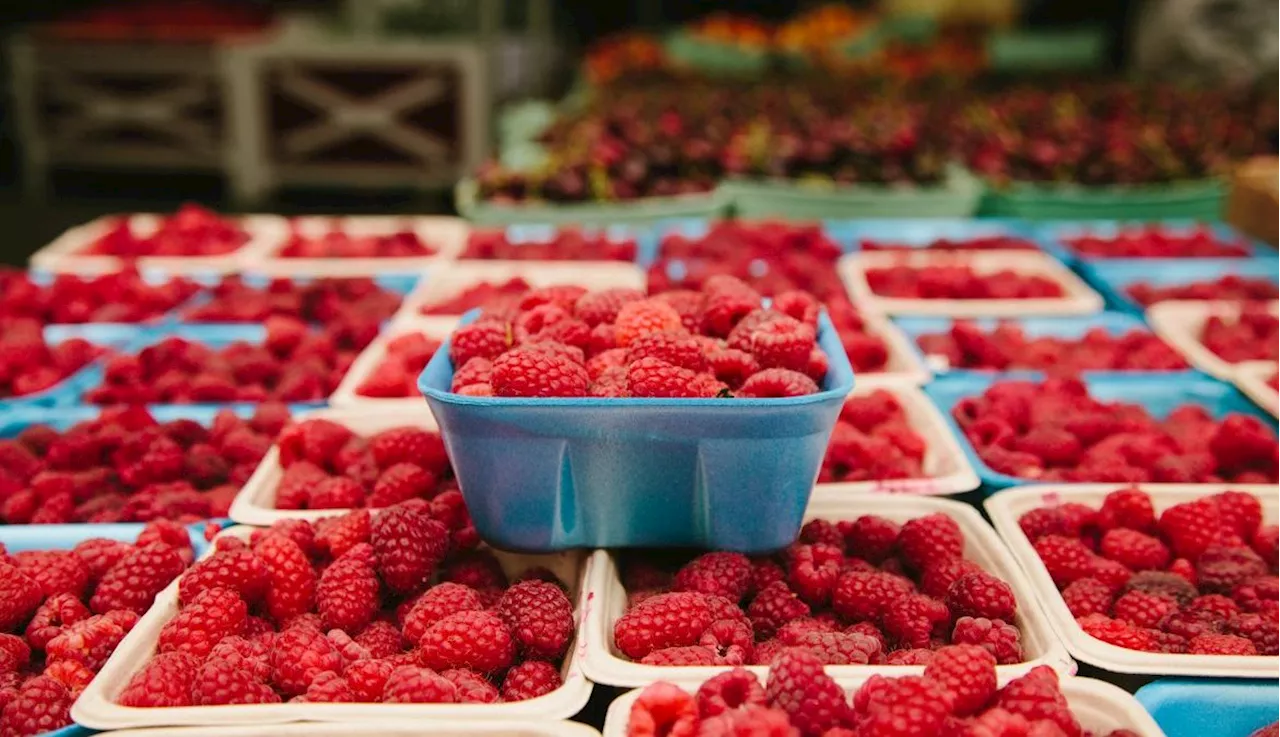 Why Do Berries Go Moldy So Fast?