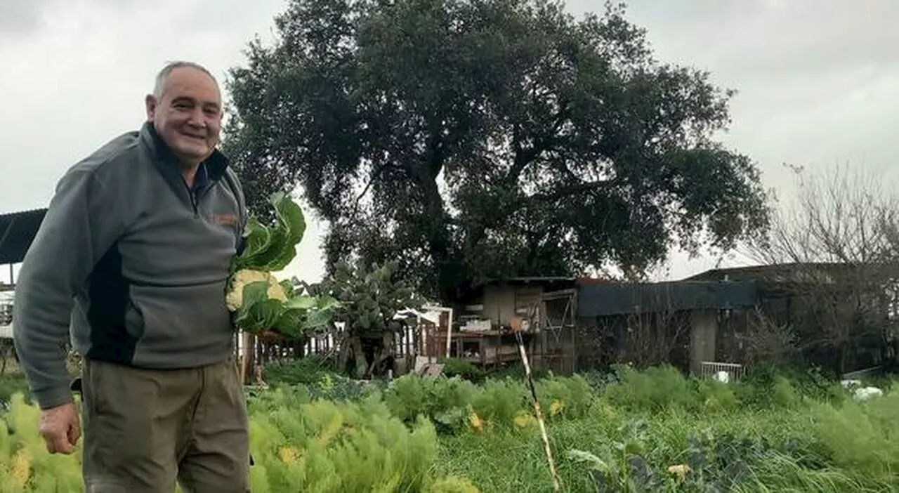 Angelo Mostarda, l'ultimo contadino di Roma Nord: «Aiutatemi con l’orto, in cambio verdure e uova fresche»