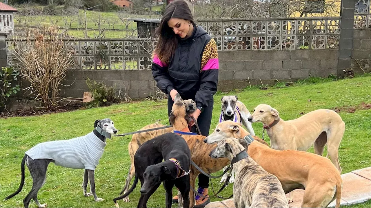 Ana Francisco, la reportera que vive con 10 galgos: 'O los acogemos o acaban muertos'