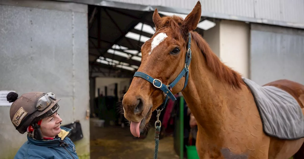 State Man Remains Mullins' Top Contender for Irish Champion Hurdle