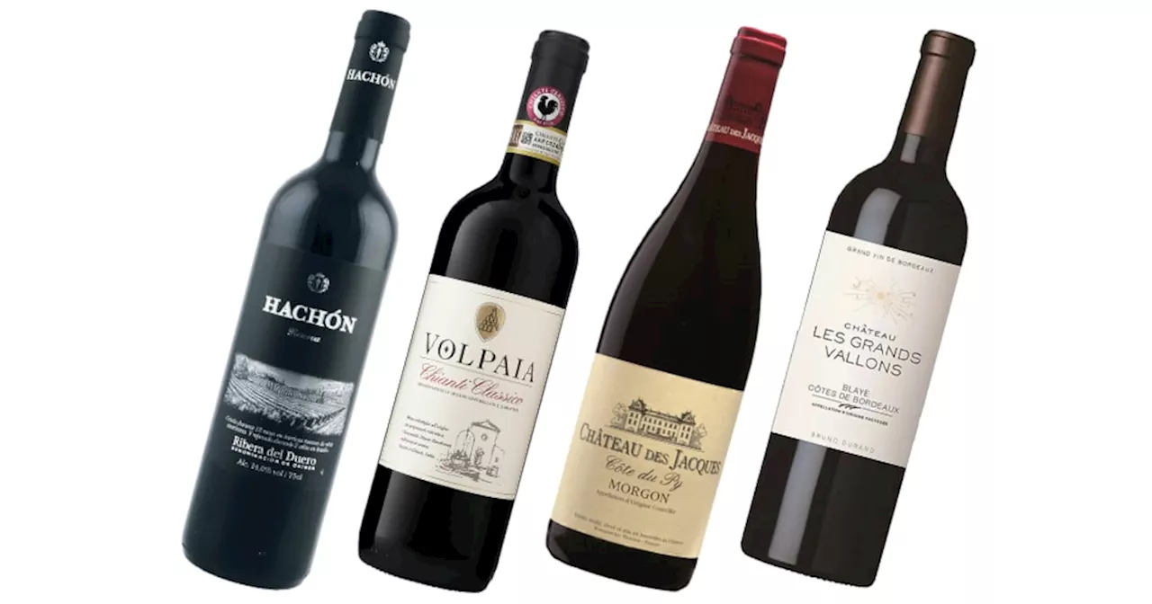 Four Wines Worth Buying