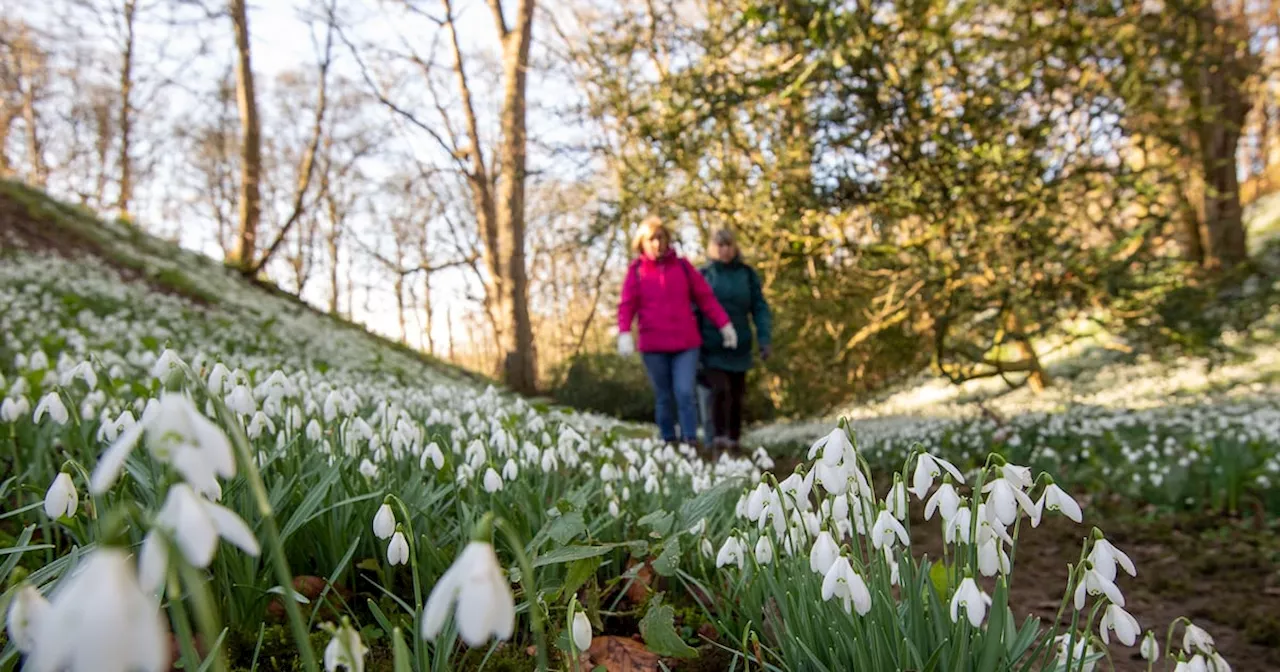 When is the start of spring? This contentious question might be what truly divides the Irish and English