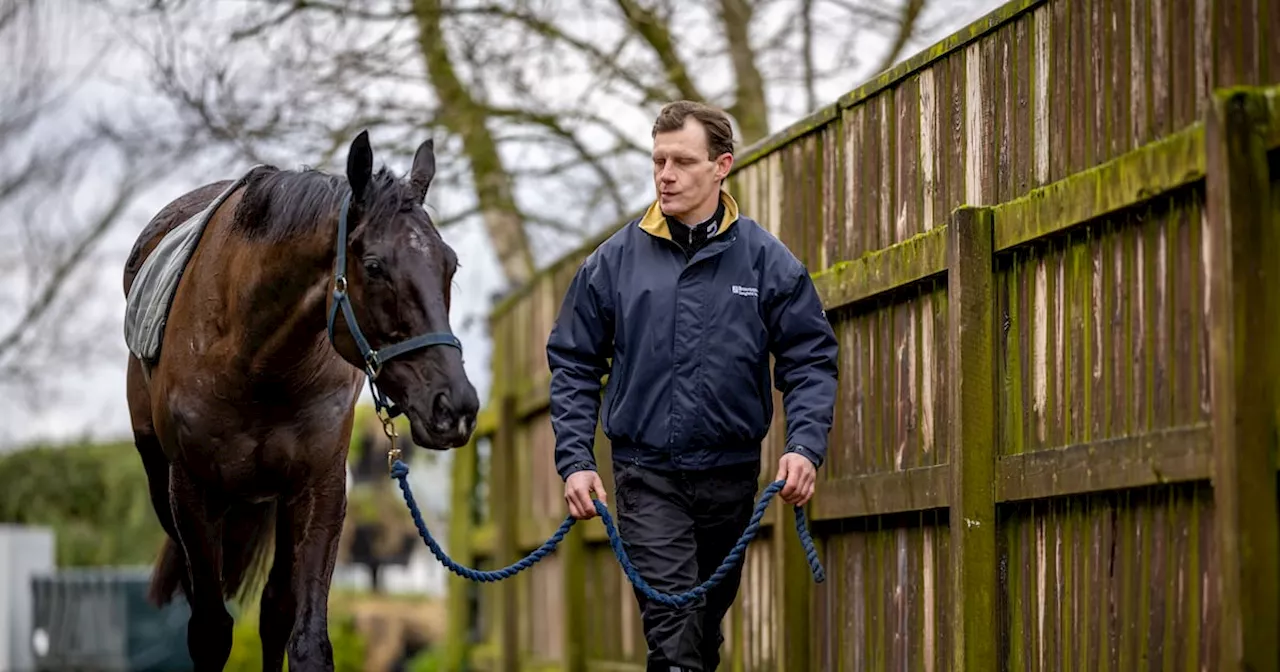 Galopin Des Champs has pride of place in massive Willie Mullins squad as he pursues Irish Gold Cup hat-trick