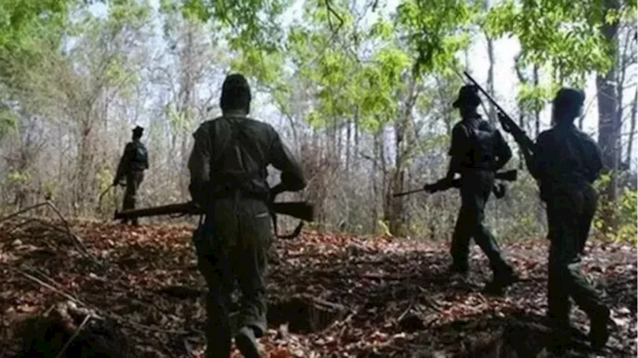 Bijapur Naxal Encounter: सुरक्षाबलों के साथ मुठभेड़ में 8 नक्सली ढेर, तलाशी अभियान जारी