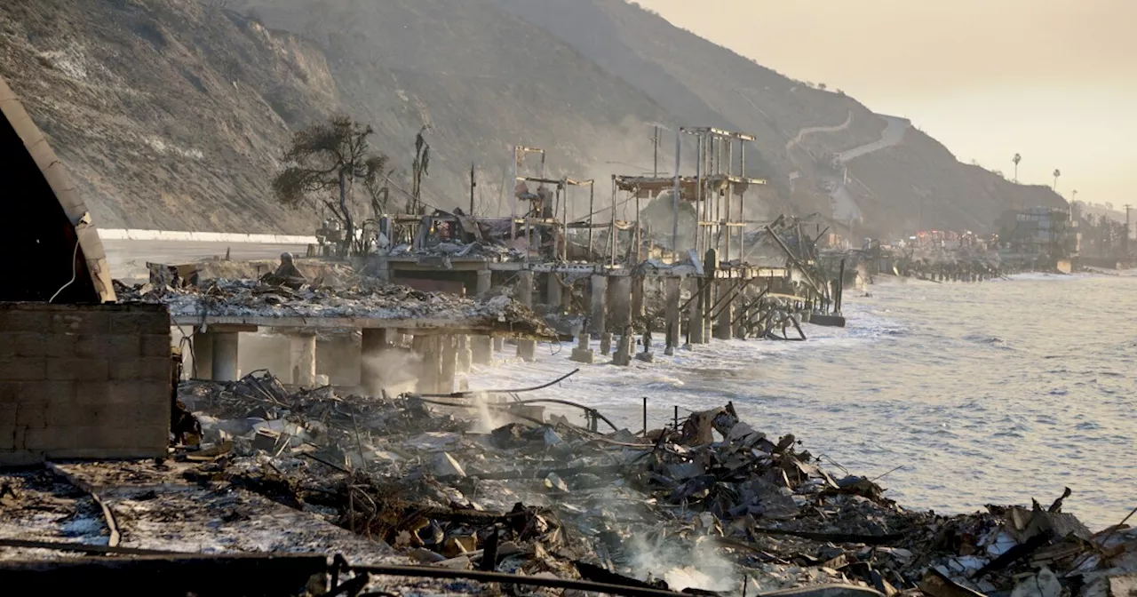 Malibu’s ocean life isn’t safe from fire, and the worst effects are yet to come