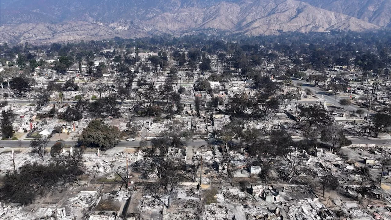 Incendies de Los Angeles : Après trois semaines de chaos, les flammes maîtrisées