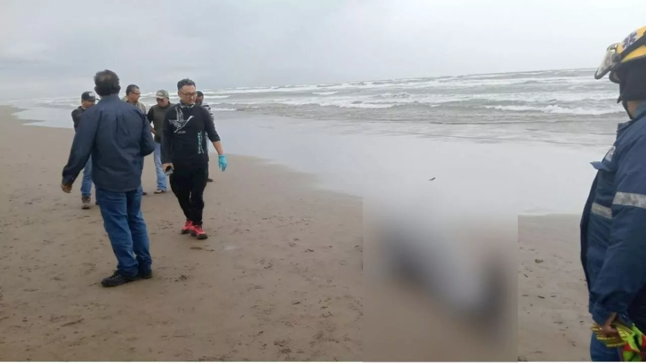 Hallan delfín muerto de 3 metros en playa de Coatzacoalcos; esto sabemos