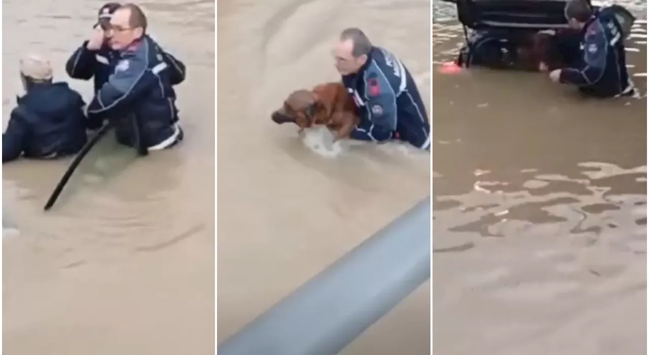 Anziano rischia di annegare insieme al suo cane in un sottopasso allagato, poliziotti eroi si tuffano in acqua