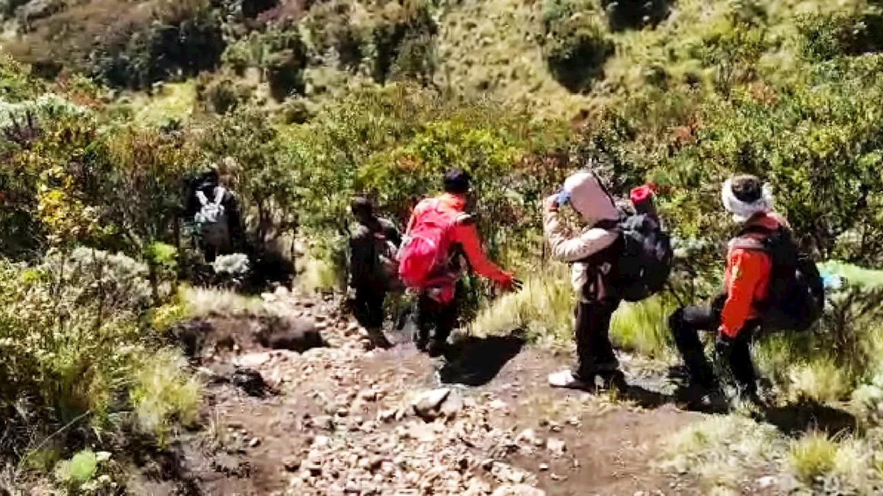 Pendaki Berbobot 100 kg Terjatuh di Gunung Lawu, Ditandu Lima Jam