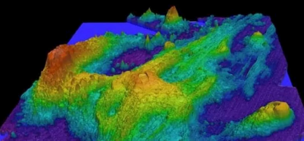 Axial Seamount: Gunung Berapi Aktif yang Diperkirakan Meletus Tahun Ini