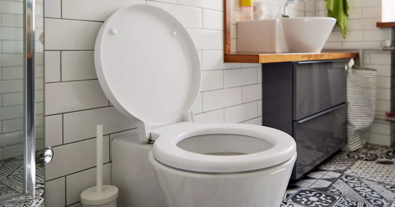 Warning over popular toilet cleaning hack that can 'destroy the system'