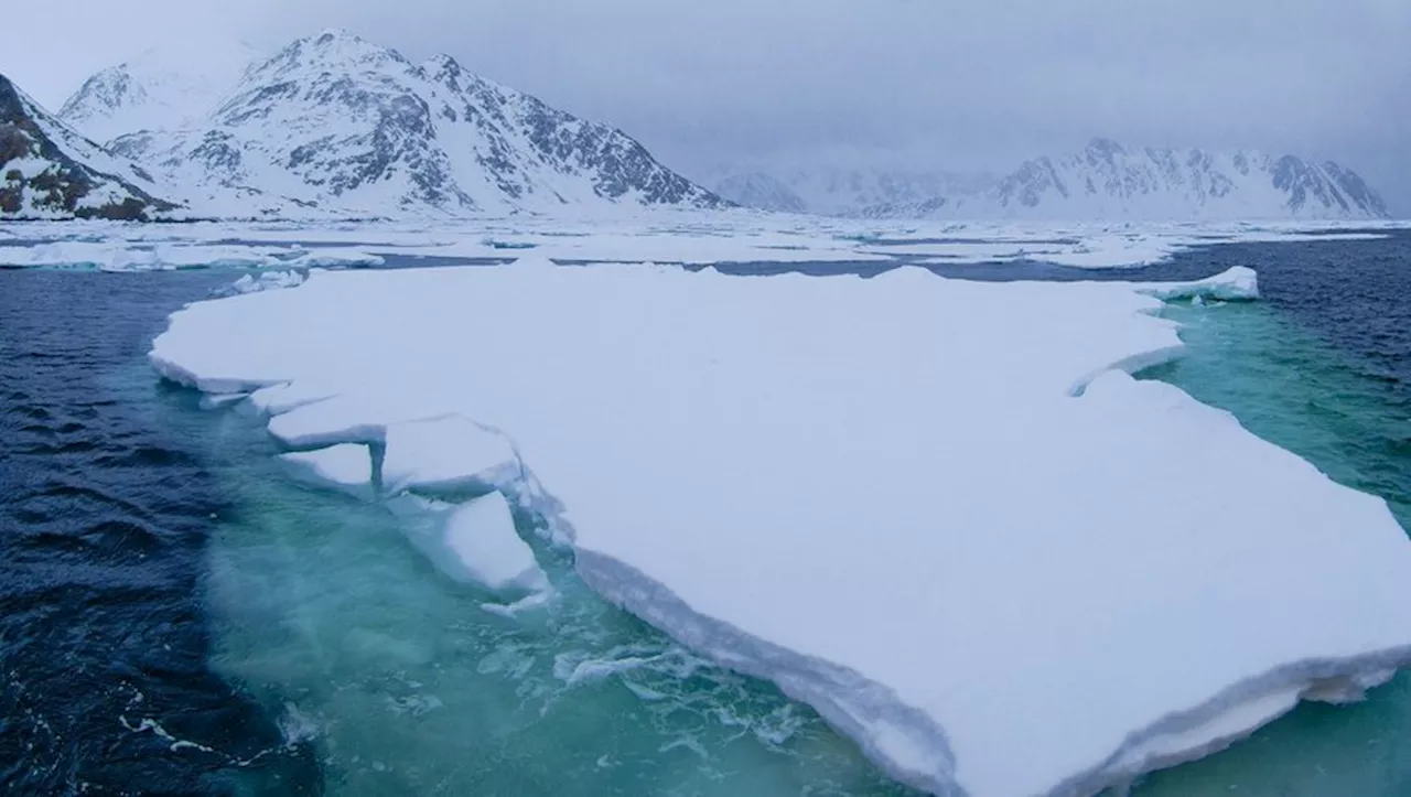 Un fragment majeur se détache du plus grand iceberg du monde