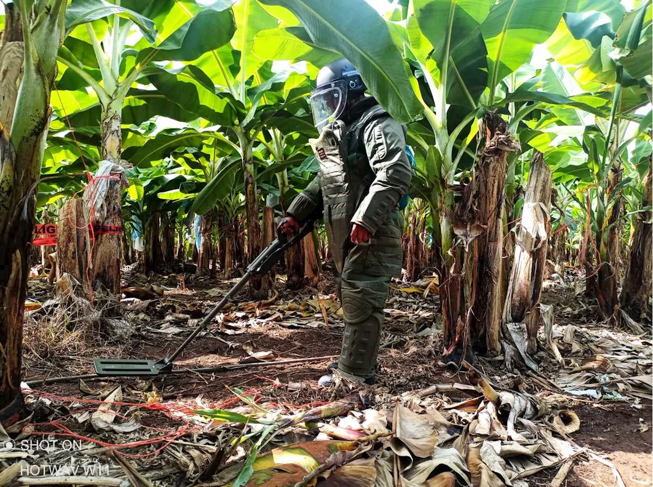 Defensa remueve 87 minas terrestres en la región de la Tierra Caliente de Michoacán