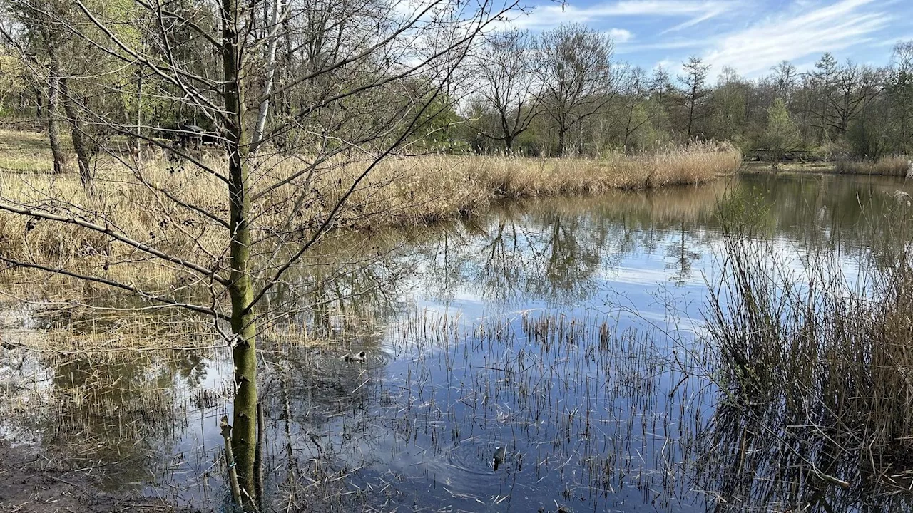 Das Bauvorhaben in der Hasenheide geht in die finale Runde