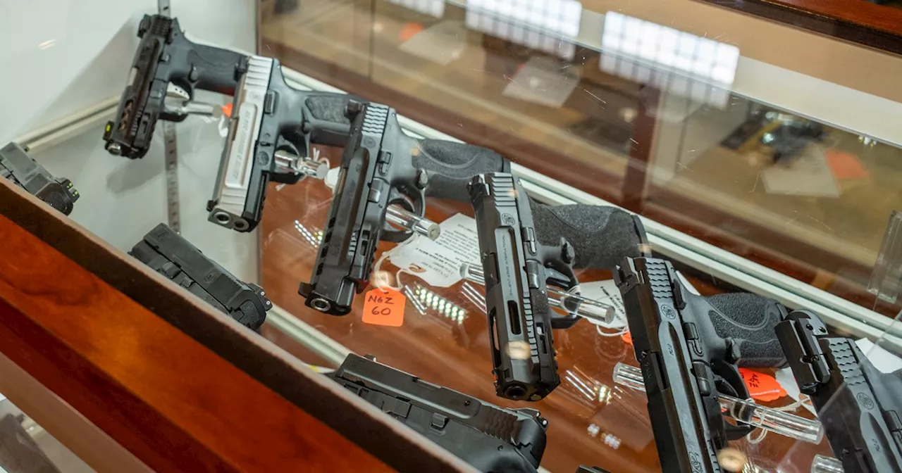 Appeals Court Rules Minimum Age for Handgun Purchases Unconstitutional