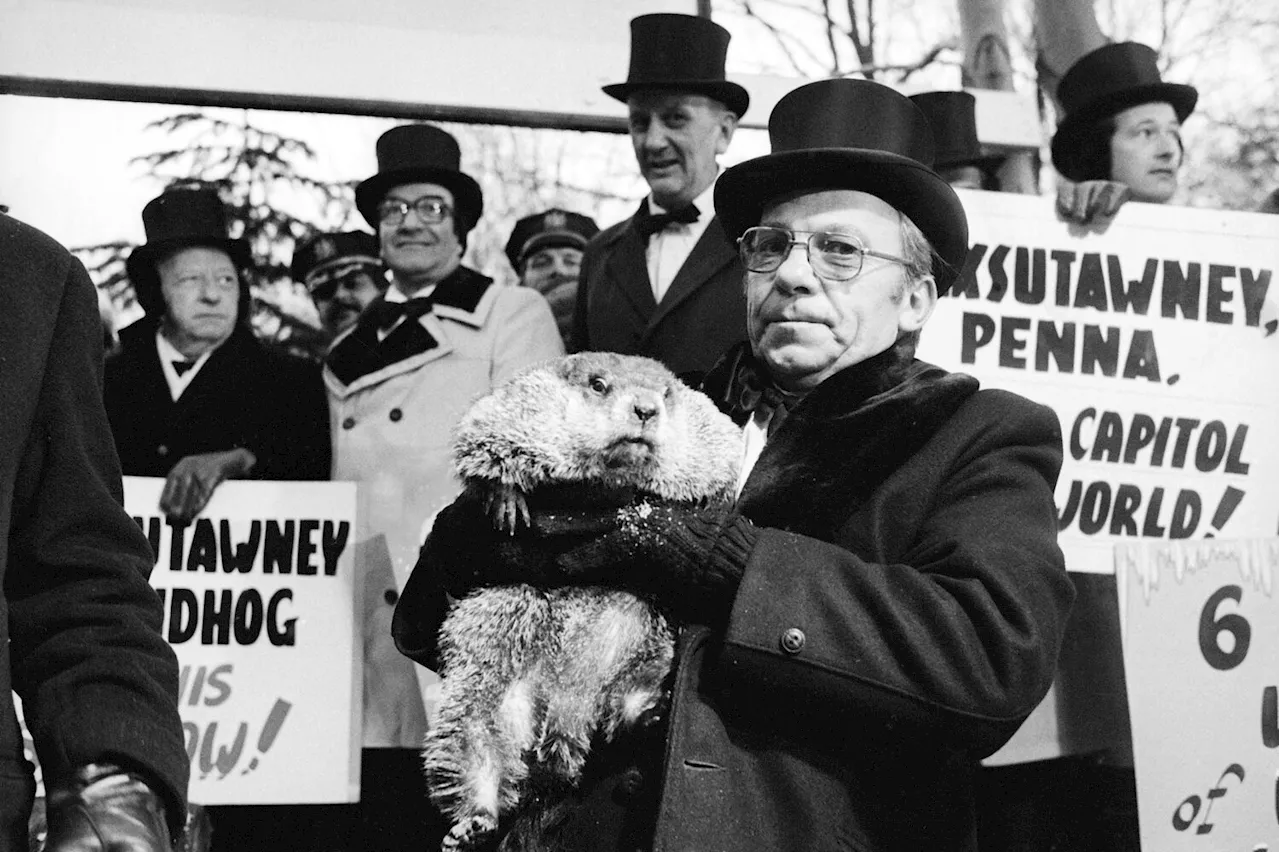 Punxsutawney Phil's Groundhog Day: A Tradition with Ancient Roots