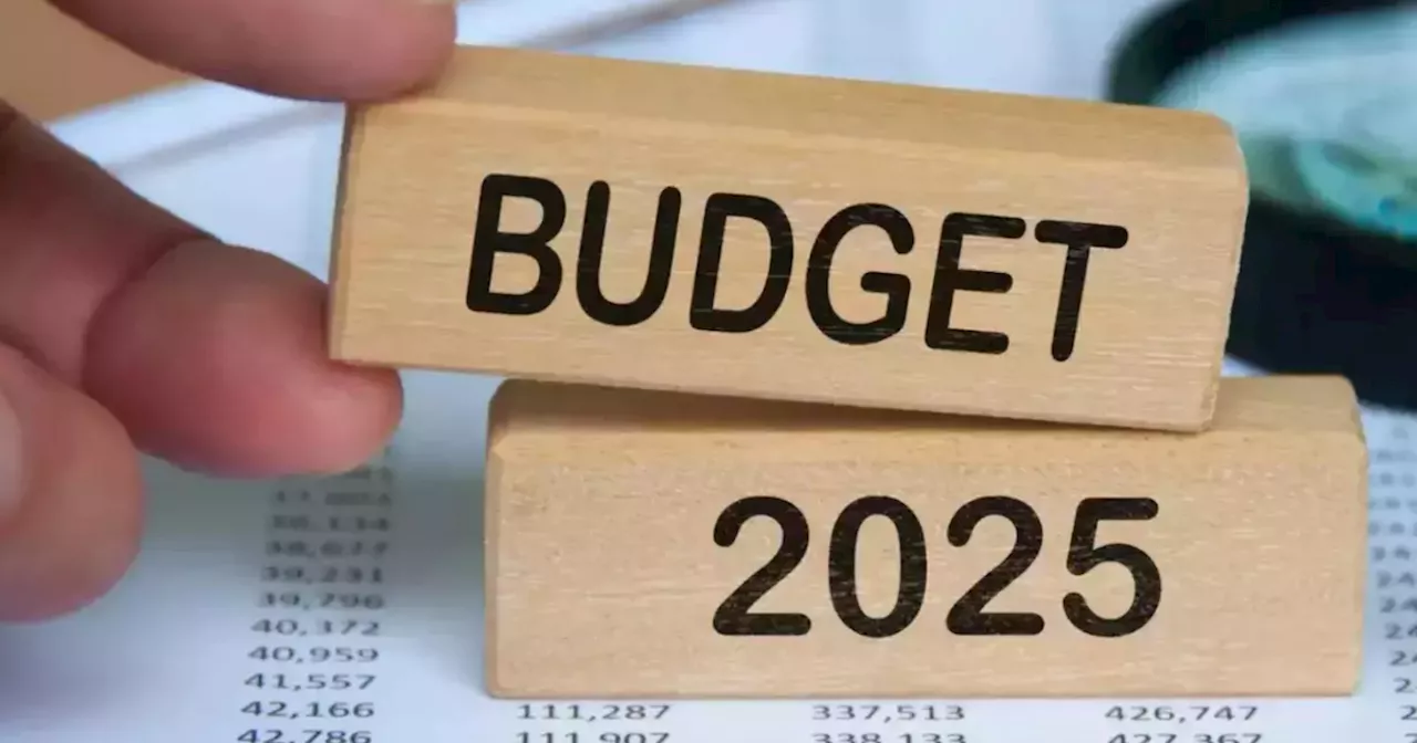 Budget 2025 से इंडियन ऑटोमोबाइल सेक्टर को काफी उम्मीदें, जानें एक्सपर्ट्स ने क्या कुछ कहा