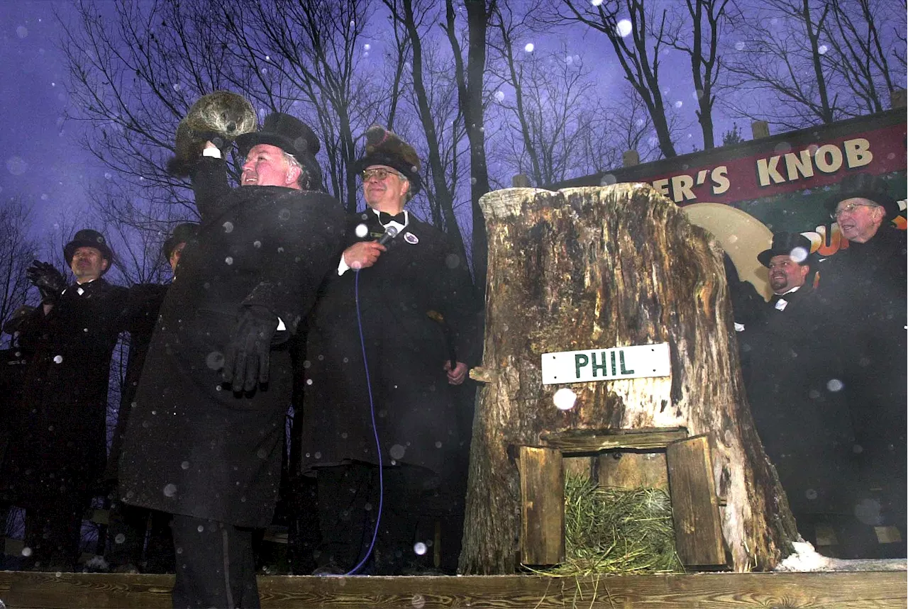 Punxsutawney Phil Predicts the Weather