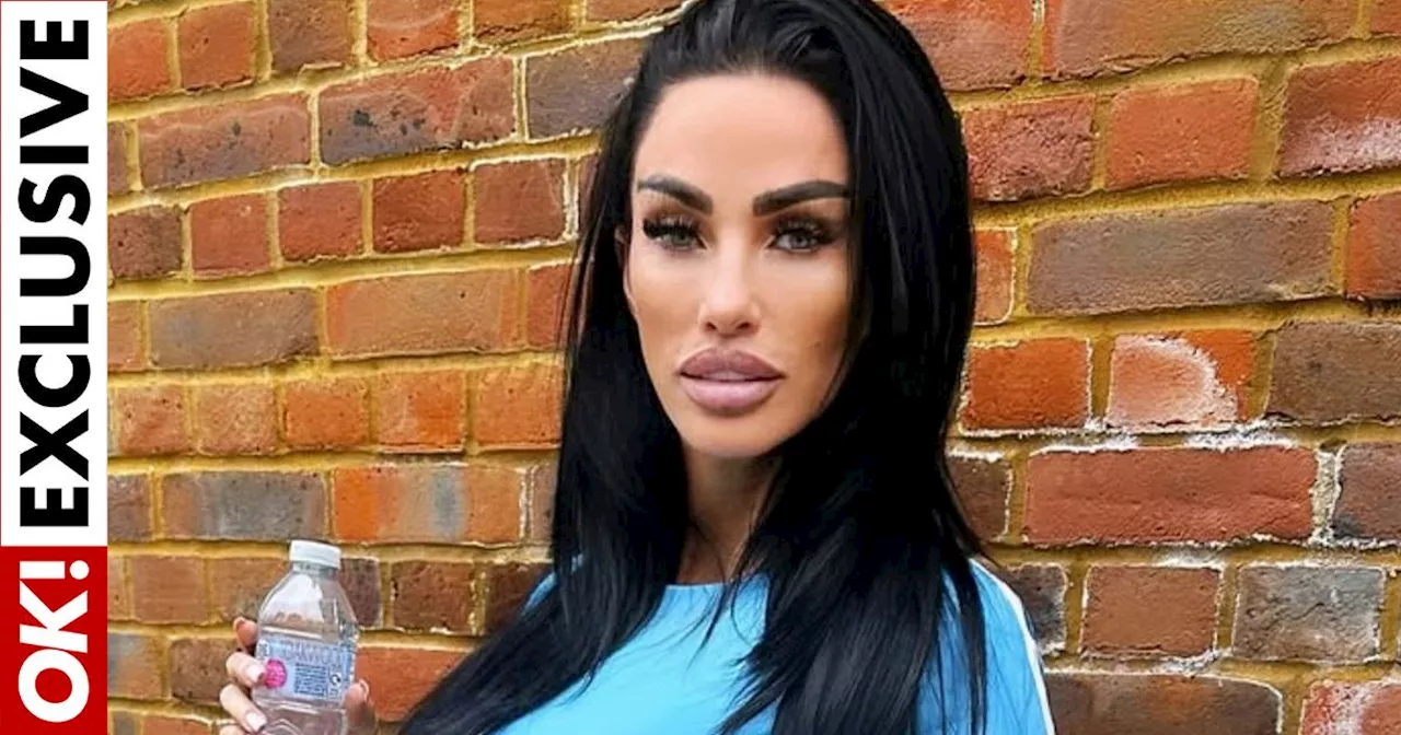 Katie Price Plots New Wave of Cosmetic Surgeries for 'Reinvention'