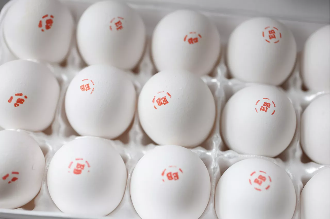 Trader Joe's Egg Prices Compared to Other Grocery Stores as Costs Rise