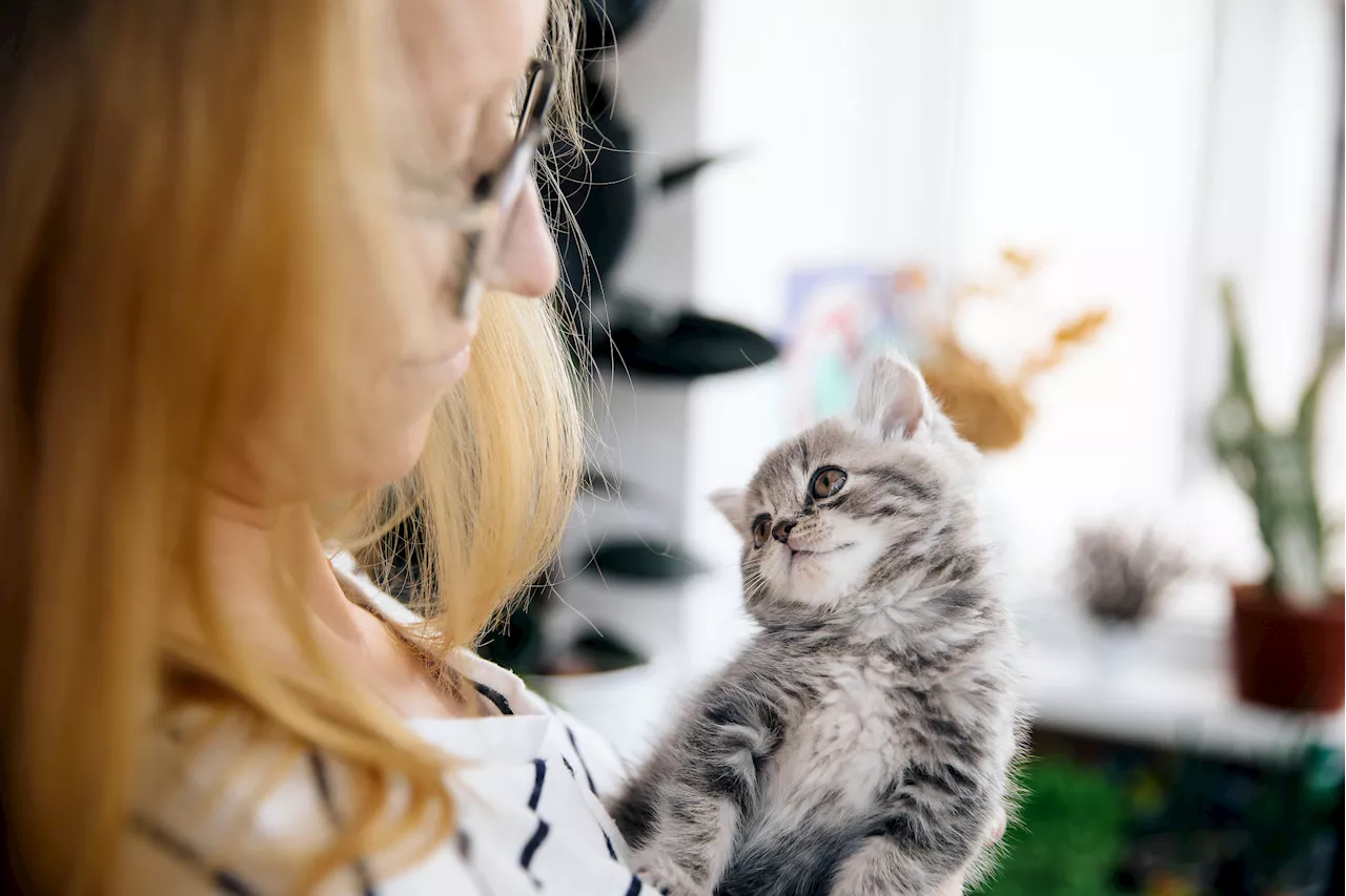 Viral TikTok Cat Owns the Internet With Her Heartwarming Response to Being Greeted