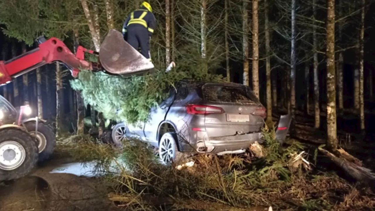 Unfall: Auto wurde von umstürzenden Bäumen begraben