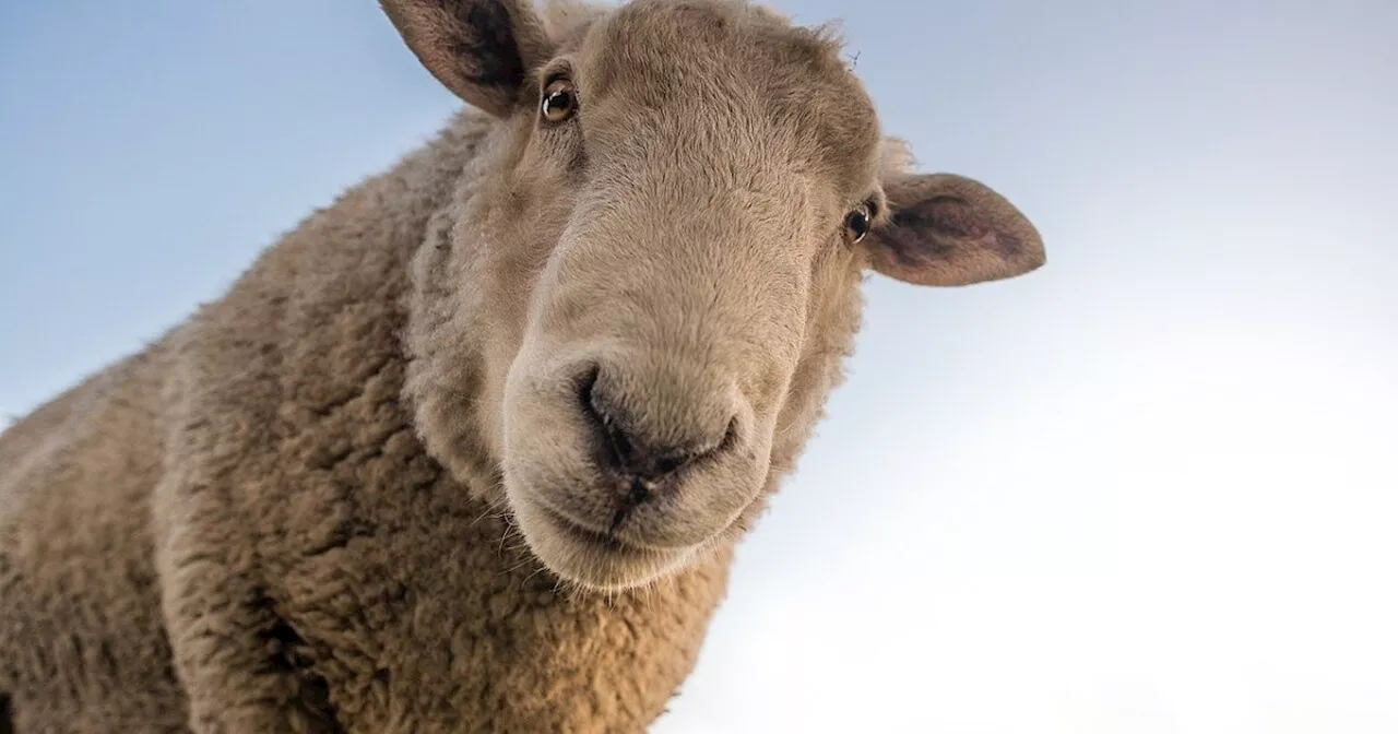 Ein Herz für Tiere, Nachruf auf ein Urgestein und eine schräge Foto-Fahndung