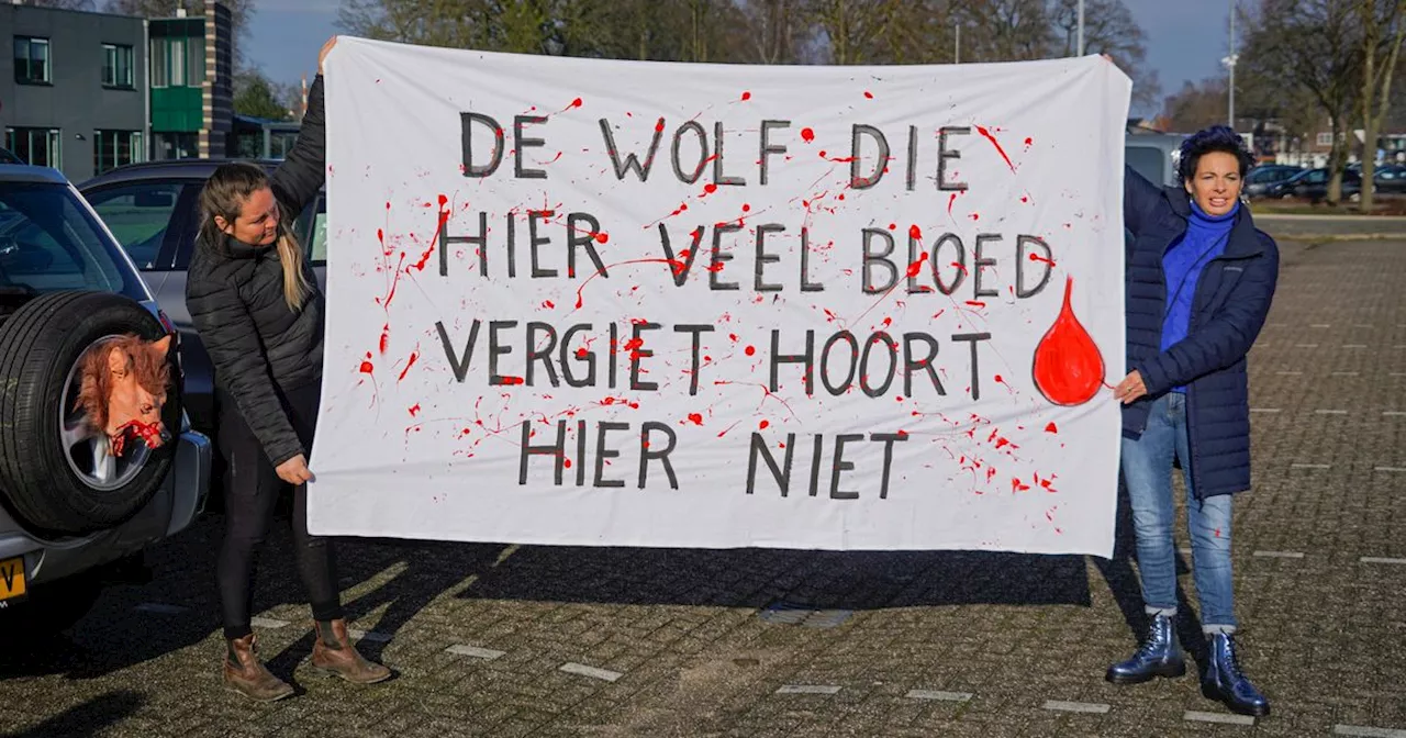 Tientallen demonstranten verzamelen zich in Emmen tegen de wolf: 'Dit is pure horror'