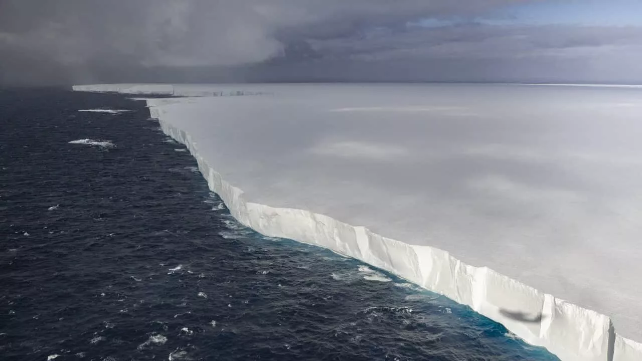 World's Largest Iceberg on Collision Course with South Georgia Island