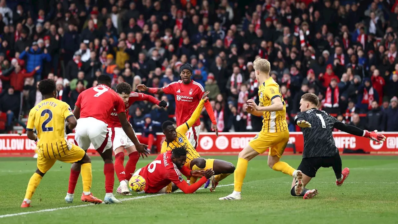 Premier League: Hürzeler kassiert mit Brighton historische 0:7-Klatsche