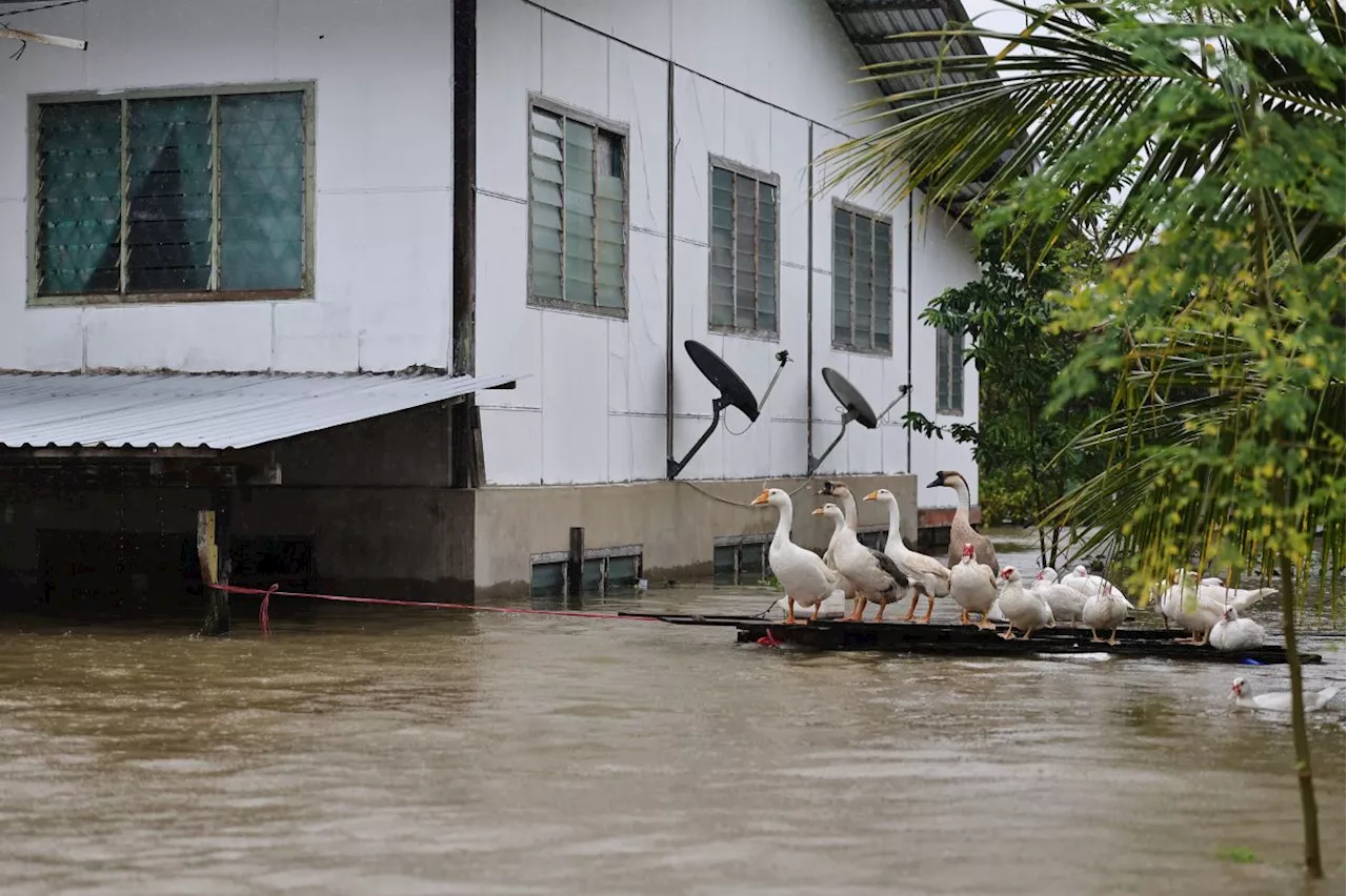 Floods: Situation improves in Sabah, worsens in Sarawak