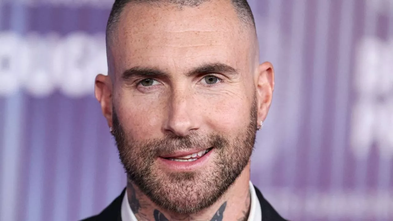 Adam Levine: Seine Kinder kennen alle seine Lieder