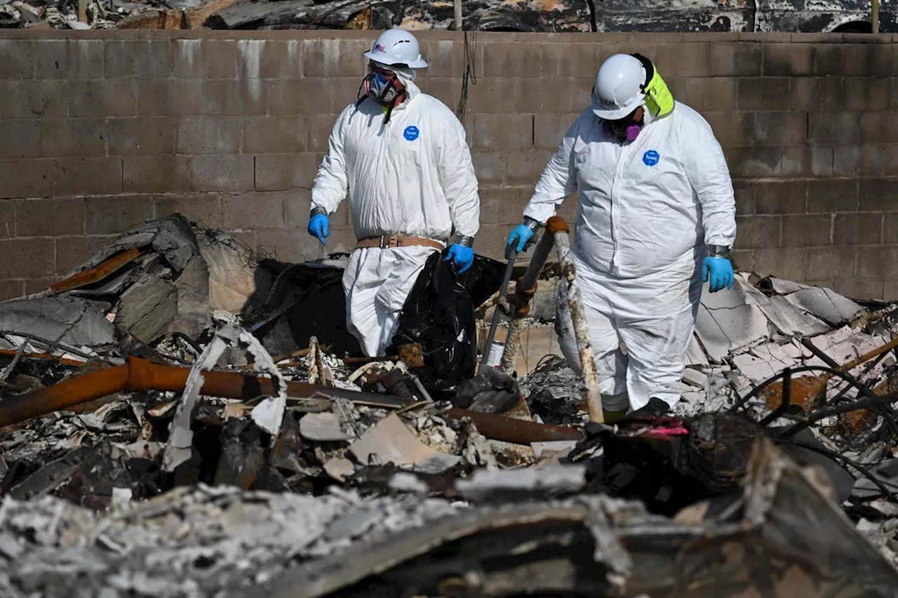 Incendies à Los Angeles : plus de trois semaines après leur départ, les feux sont enfin maîtrisés entièrement