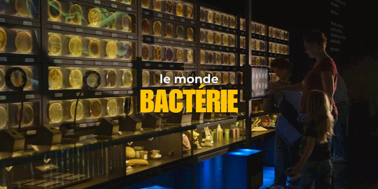 Le Monde Bactérie : Un Documentaire sur le Rôle Crucial des Microbes